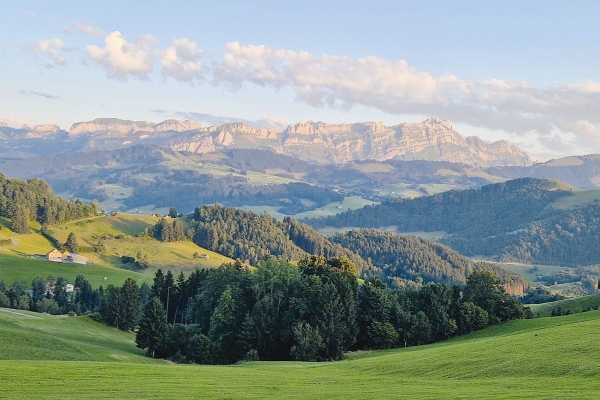 Kulturen und Kulinarik im Appenzellerland, Hügeltour mit Alpschwein-Metzgete