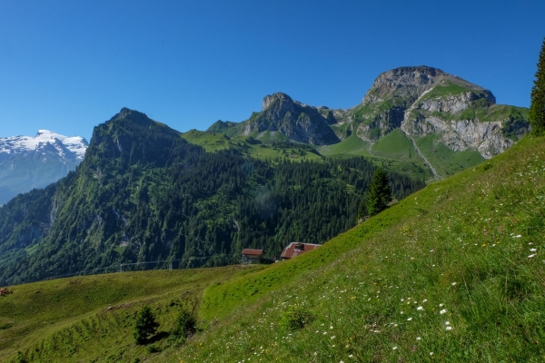Dem Titlis entgegen im Engelbergertal