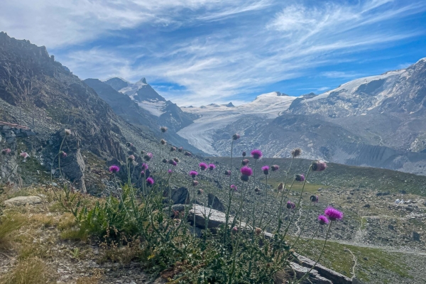 Cinq lacs et le Cervin en vue