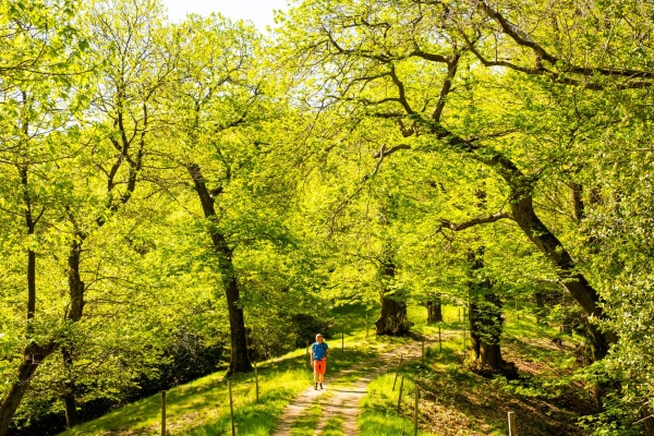 Le plein d’énergie au-dessus de Cademario