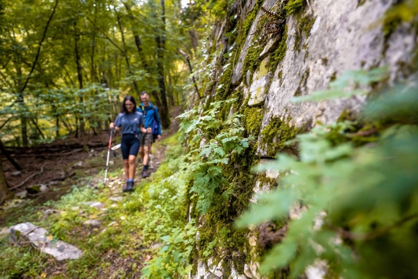 Paesaggi autentici della Valle di Muggio