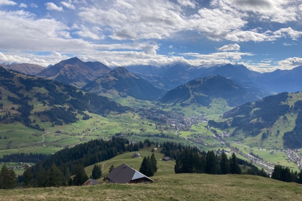 Sur les hauteurs du Saanenland
