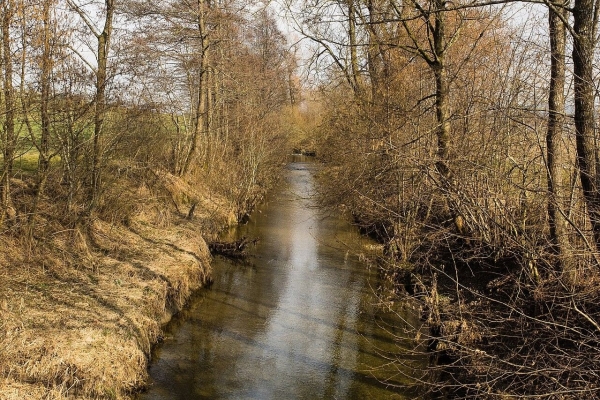 Murg - Lauche - Murg