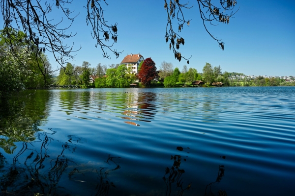 Mauensee (**/T1)