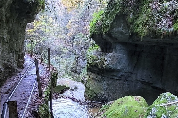 37. Ein kühles Plätzchen suchen... (NE)