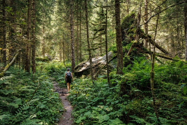 Murgseen (****/T2) Anmeldung ab 29. Juni möglich