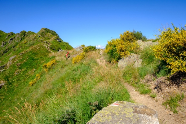 Selve castanili e una cresta nel Malcantone