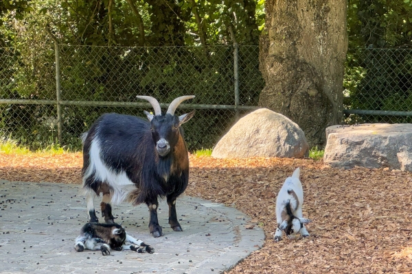Una tranquilla passeggiata tra natura e città