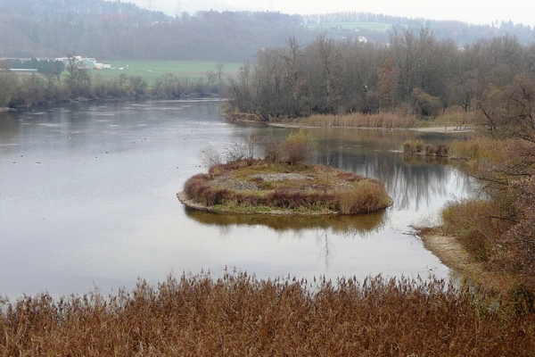Le long des rivières
