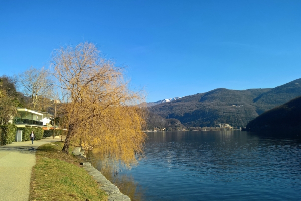 Au sommet du Monte Caslano