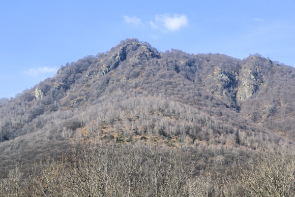 Dans les forêts de l’Alto Malcantone