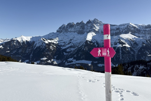 Viel Ruhe und Aussicht im Val d'Illiez