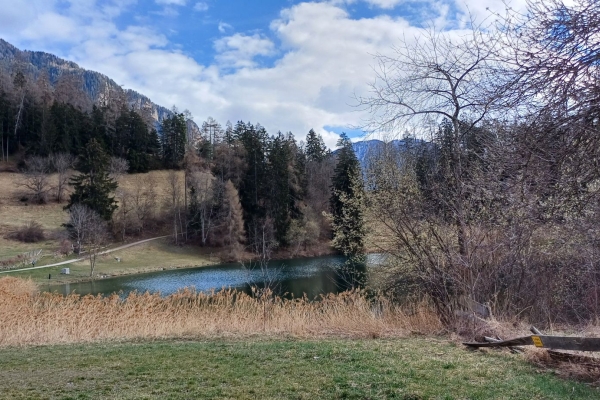 Angebot Krebsliga Graubünden: Domleschg-Highlights