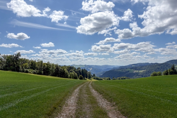 Auf einsamen Jurahöhen bei St-Ursanne