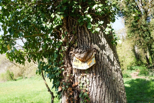 Idyllische Wildnis und Steinbruch bei La Sarraz