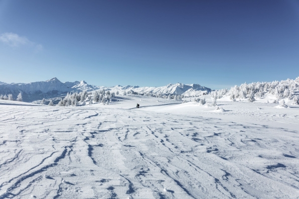 Verschneite Hochebene im Domleschg