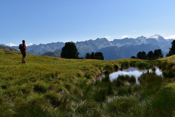 Alpeggi in fiore e torbiere alte sul Lucomagno