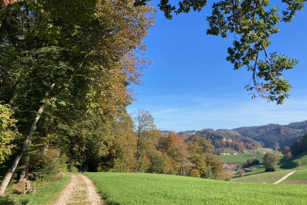 Farbige Herbstwälder und Sandsteinfelsen