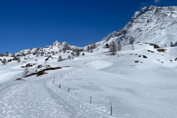 Kurzwanderung auf dem Simplonpass
