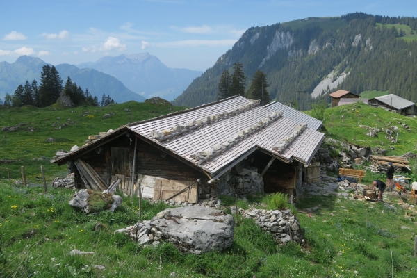 Morgenkonzert der Bergvögel (Vogelexkursion)