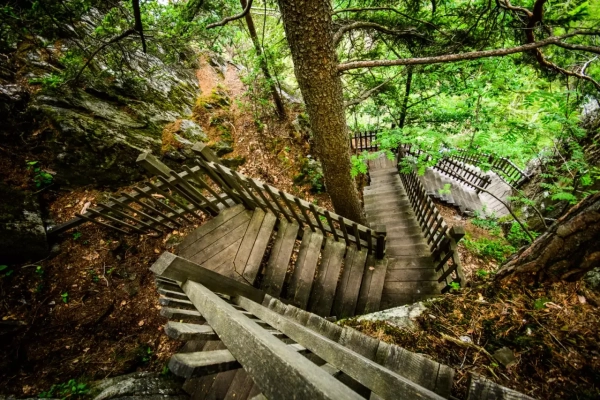 R49: Salvan - Les Granges - Van d'en Bas - Van d'en Haut - Les Granges - Salvan