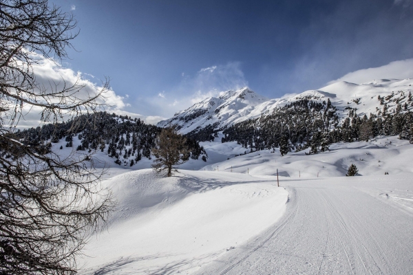 Münstertal entdecken – einsame Wege am Ofenpass