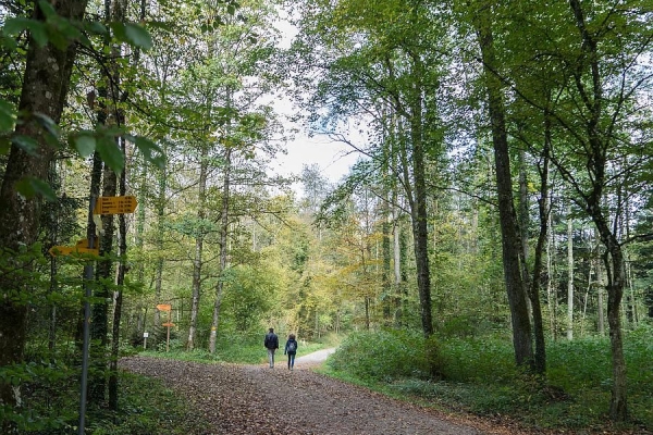Von der Reuss zur Limmat /  Mellingen - Baden