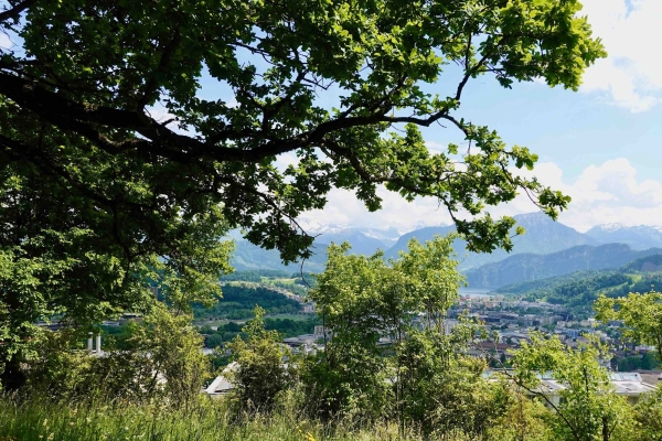 Unterwegs mit der Kraftortforscherin hoch über Luzern
