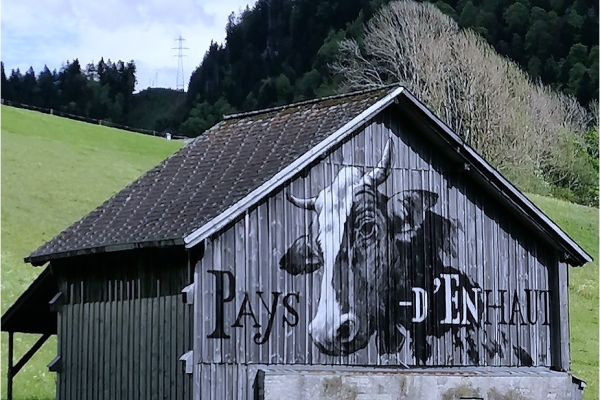 51. Roestigraben : étape 11, Montbovon - Château d'Oex