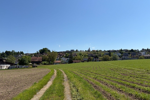 Sonnige Uferwanderung entlang der Reuss
