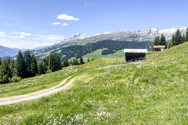 Durch die Bergdörfer der Surselva