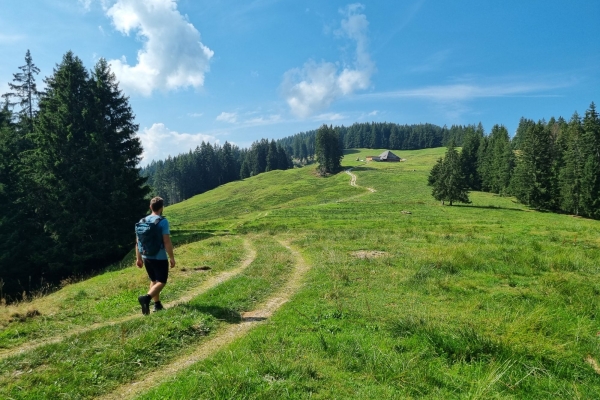 Auf dem Gratweg am Käsenberg
