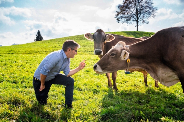 Kurs: «Wie ticken Rinder?» achtsame Begegnungen auf der Weide und im Stall