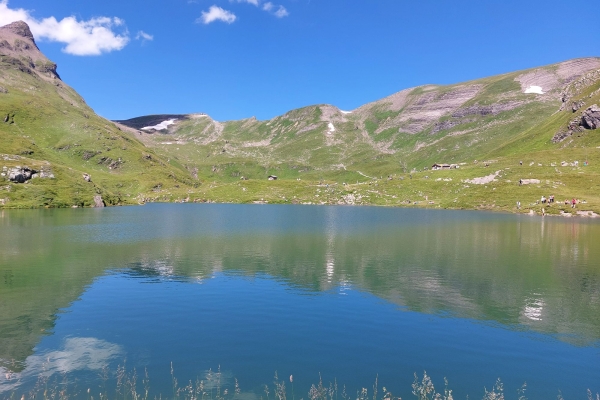 20. Über die Grosse Scheidegg (2. Tag)