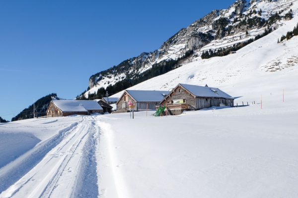 Schneeschuhwandern am Mattstogg