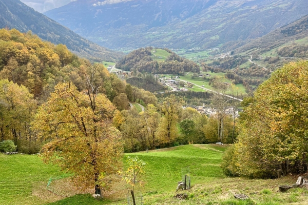 Pradòir