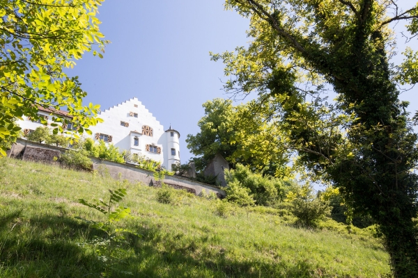 Im Thurgauer Garten von Karl dem Grossen