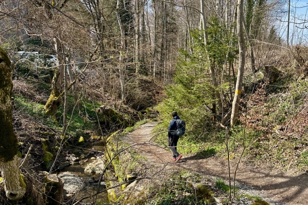 Zürich Wander-Opening 2026 (MIT Anmeldung)