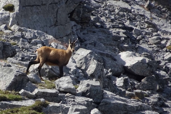 Über den Passo Vanit zum Lago Tremorgio