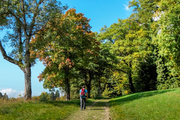 Balade au sommet à Delémont