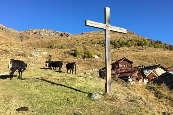 R37: La Forclaz - Le Tsalè du Tsaté - Lac du Tsaté - Mayens du Cotter - Villa