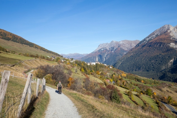 Les sgraffites de la Basse-Engadine
