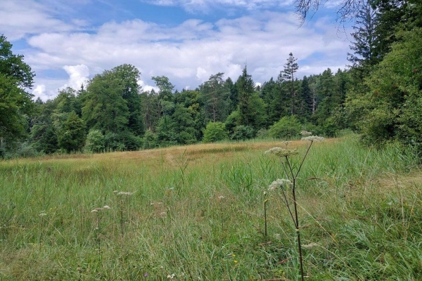 Vom Zürichsee auf den Pfannenstiel