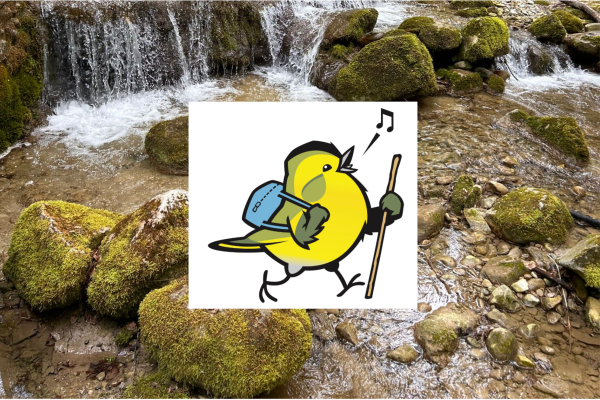 Wandererlebnis: Faszination Bach