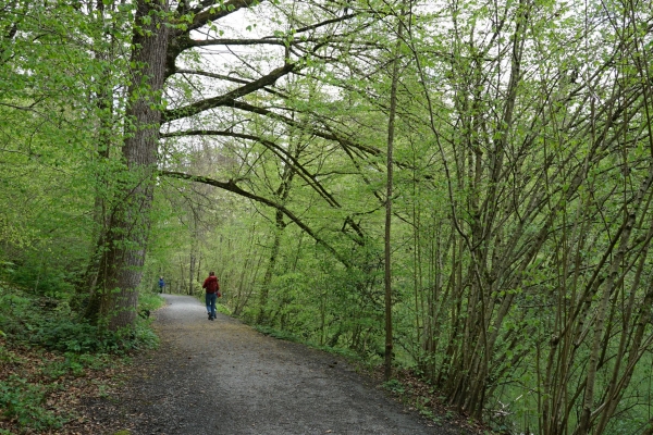 Industriegeschichte am Zugersee