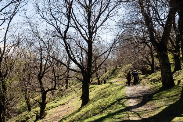 Durch Tessiner Dörfer und Kastanienwälder
