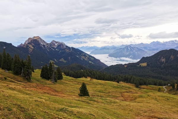 Auf historischem Weg am Pilatus