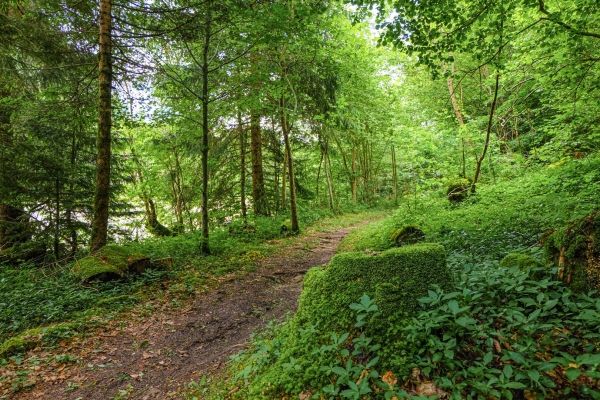 Abenteuer an der ursprünglichen Sense