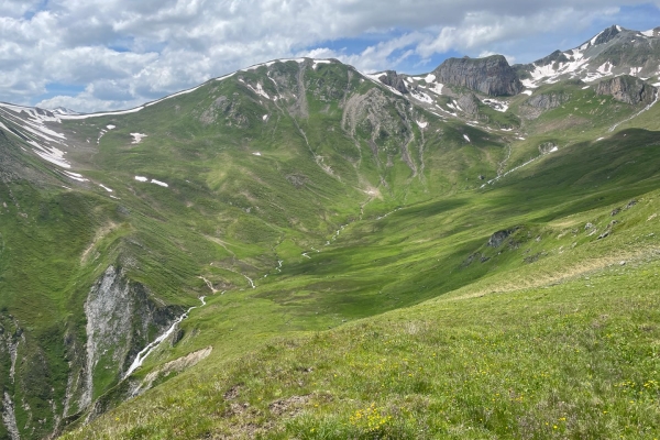 Cueillette de ciboulette sauvage à Samnaun