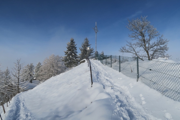 Schneeschuhwanderung Trogen-Bürgenstock